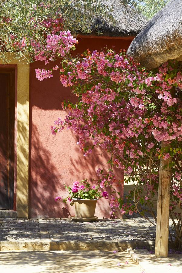 Hotel Hacienda De San Rafael Las Cabezas de San Juan Zewnętrze zdjęcie
